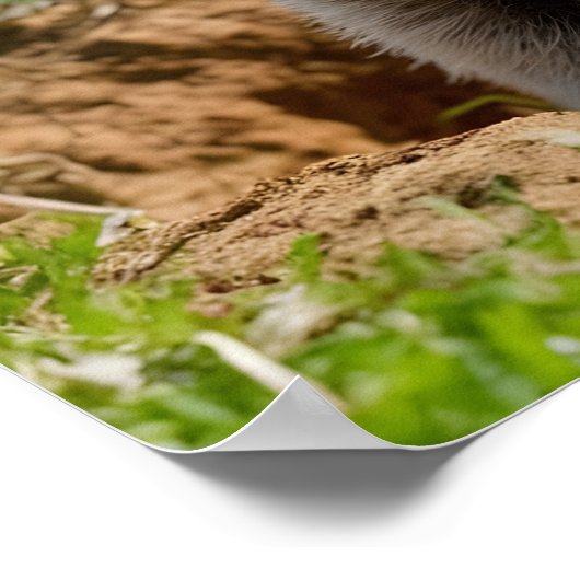 Schattige glimlachende Groundhog Emerging Poster (Hoek)