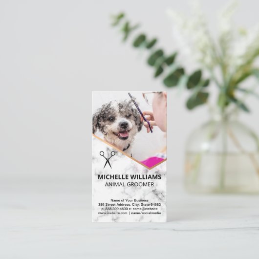 Schattige glimlachende hond die verzorgd wordt visitekaartje (Staand voorkant)