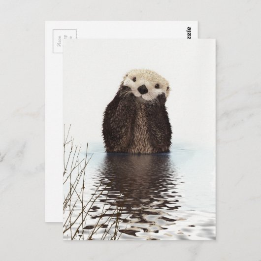 Schattige glimlende Otter in het meer Briefkaart (Voorkant / Achterkant)