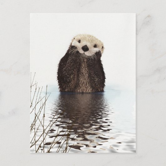 Schattige glimlende Otter in het meer Briefkaart (Voorkant)