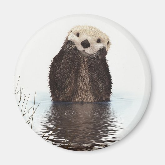 Schattige glimlende Otter in het meer Magneet (Voorkant)