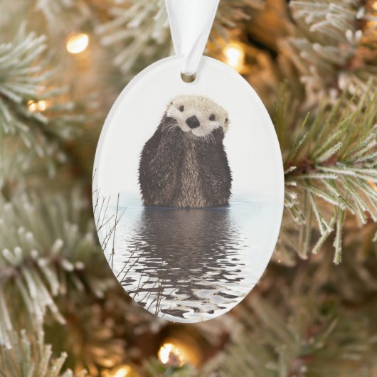 Schattige glimlende Otter in het meer Ornament (Boom)