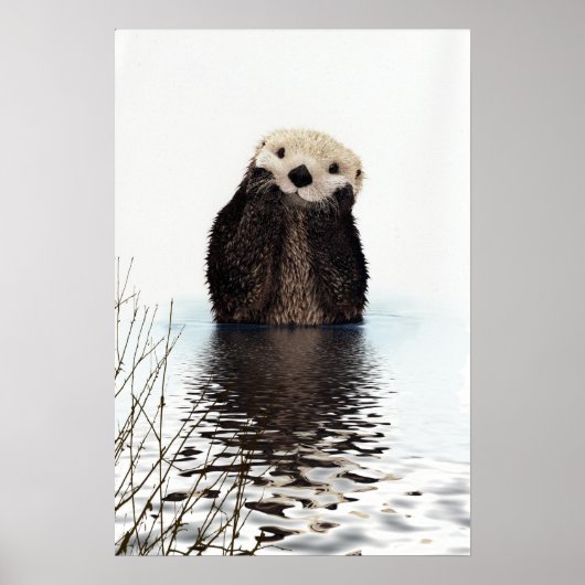 Schattige glimlende Otter in het meer Poster (Voorkant)