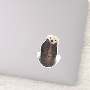Schattige glimlende Otter in het meer Sticker