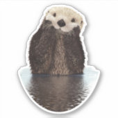 Schattige glimlende Otter in het meer Sticker (Voorkant)