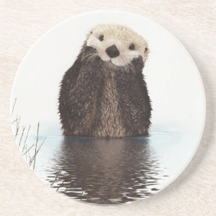 Schattige glimlende Otter in het meer Zandsteen Onderzetter