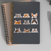 Schattige gluren katten Brits Siamees Bengalen Sticker