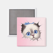 Schattige gluren Ragdoll Cat Magneet (Voorkant / Achterkant)