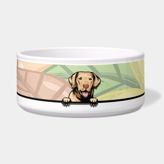 Schattige glurende Chesapeake Bay retriever, eten/ Voerbakje (Voorkant)