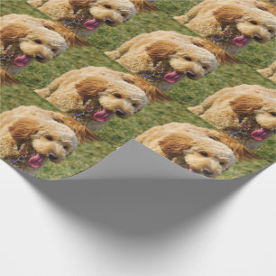Schattige Golden Doodle Dog Cadeaupapier