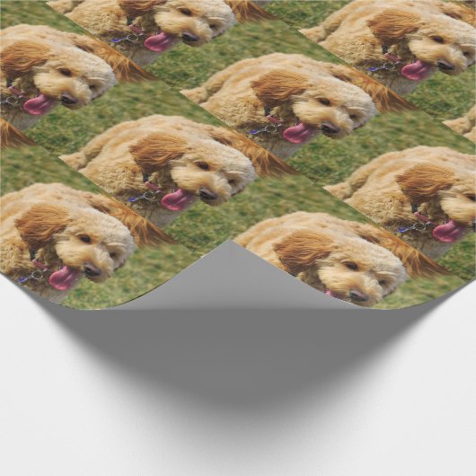 Schattige Golden Doodle Dog Cadeaupapier (Hoek)