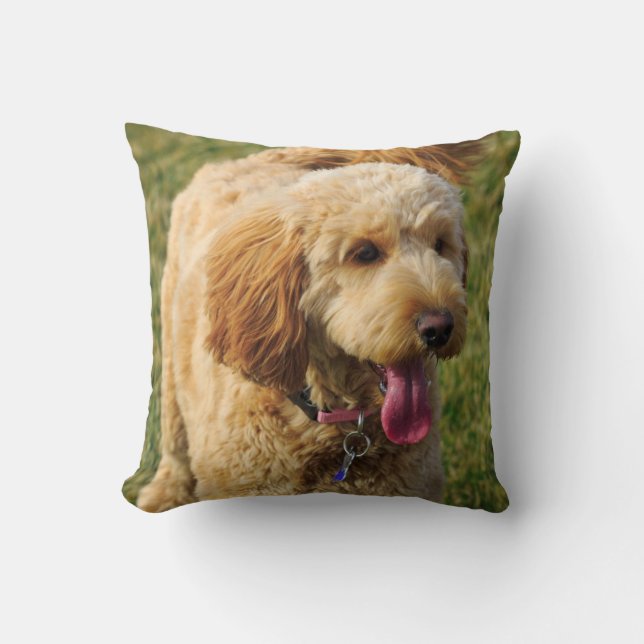 Schattige Golden Doodle Dog Kussen (Voorkant)