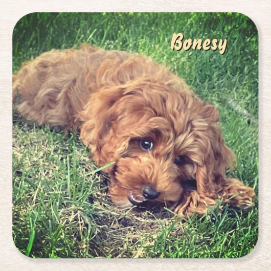 Schattige Golden Doodle Kartonnen Onderzetters (Voorkant)