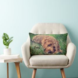 Schattige Golden Doodle Kussen