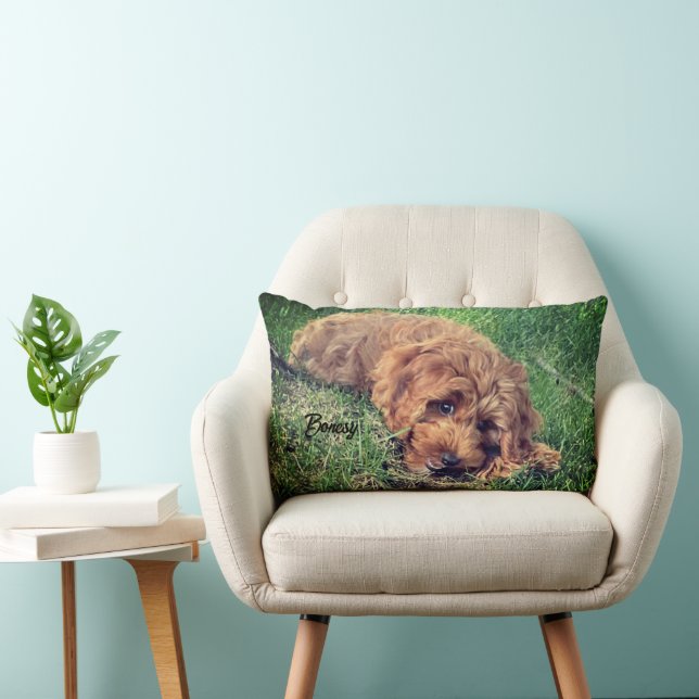 Schattige Golden Doodle Kussen (Stoel)