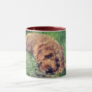 Schattige Golden Doodle Mok