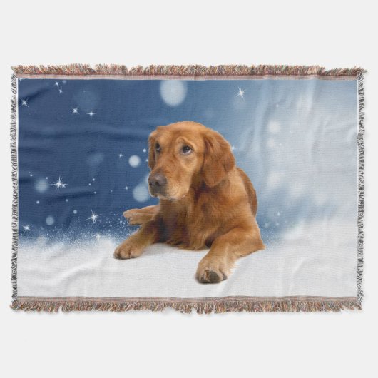 Schattige Golden Retriever Dog Sitting Snow Stars  Deken (Voorkant)