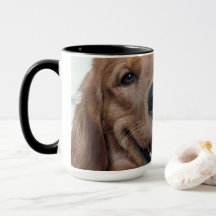 Schattige Golden Retriever | Originele Hondenfotog