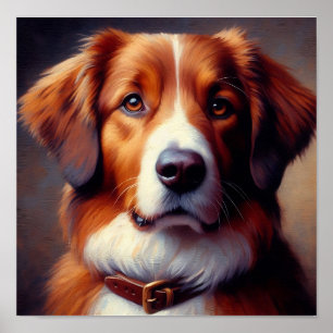 Schattige Golden Retriever poster