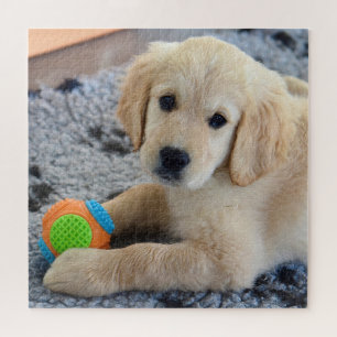 Schattige Golden Retriever Puppy Legpuzzel