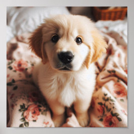 schattige Golden Retriever puppy ogen Poster