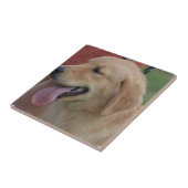 Schattige Golden Retriever Tegeltje (Zijkant)