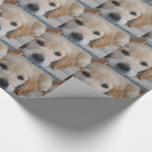 Schattige Golden Retrievers Cadeaupapier (Hoek)