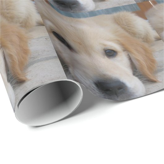 Schattige Golden Retrievers Cadeaupapier (Rol Hoek)