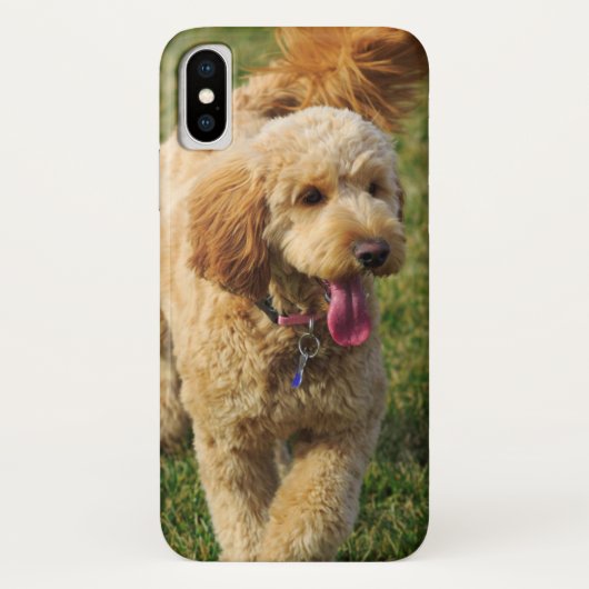Schattige Goldendole Dog Case-Mate iPhone Case (Achterkant)