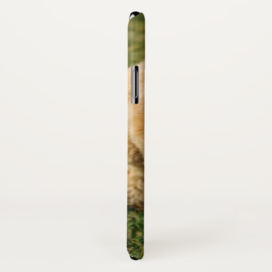 Schattige Goldendole Dog Case-Mate iPhone Case (Achterkant / rechts)