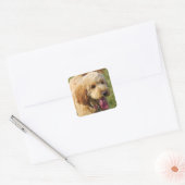 Schattige Goldendole Dog Vierkante Sticker (Envelop)