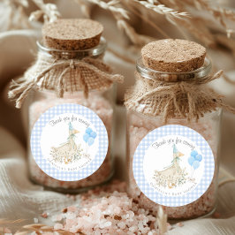 Schattige Goose Boy Baby shower Blue Gingham Ronde Sticker