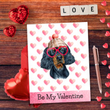 Schattige Gordon Setter Ik Hou Van Jou Hond Valent