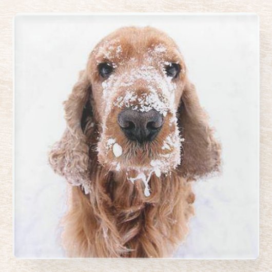 Schattige goud retriever hond met sneeuw bedekt ge glazen onderzetter (Voorkant)