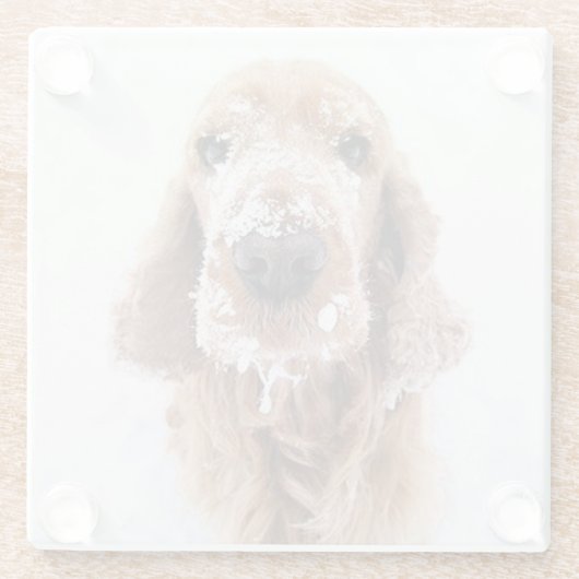 Schattige goud retriever hond met sneeuw bedekt ge glazen onderzetter (Achterkant)