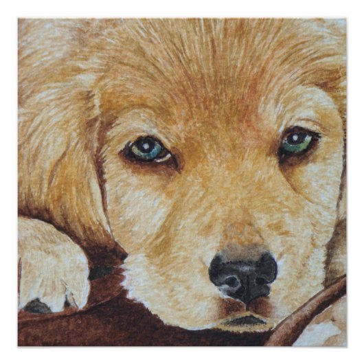 schattige gouden puppy dog portret kunst perfect poster (Voorkant)