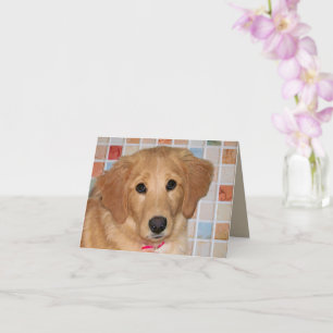 Schattige Gouden Retriever Puppy Vouwkaart Kaart