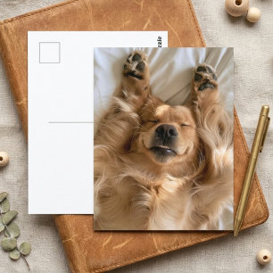 Schattige Gouden Retriever Slapende Hond Pootjes Briefkaart