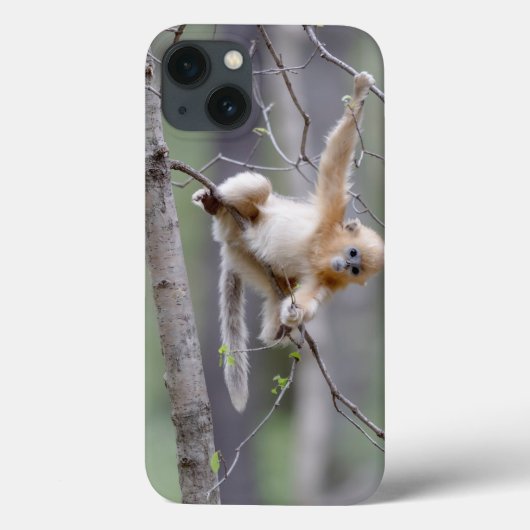 Schattige gouden stompneusaap op boomtakken Case-Mate iPhone case (Achterkant)
