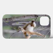 Schattige gouden stompneusaap op boomtakken Case-Mate iPhone case (Achterkant (horizontaal))