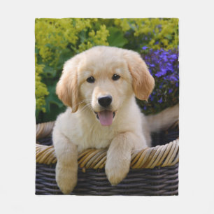 Schattige Goudie Retriever Hond Puppy Foto Portret Fleece Deken
