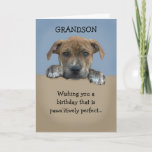 Schattige Grandson Birthday-kaart Kaart<br><div class="desc">Schattige kleinzoon verjaardagskaart die aanpasbaar is met je persoonlijke bericht.</div>