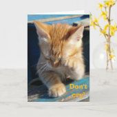 Schattige Grappig Kat Happy Birthday Wenskaart Kaart (Gele Bloem)