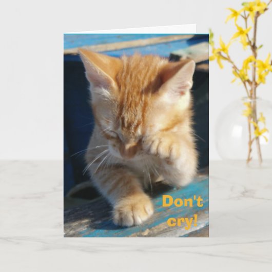 Schattige Grappig Kat Happy Birthday Wenskaart Kaart (Gele Bloem)