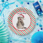 Schattige Grappig Kerst Kat Papier Bord (Feest)