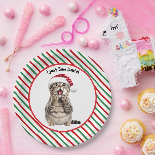 Schattige Grappig Kerst Kat Papier Bord (Feest)