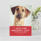 Schattige Grappig Ondeugend Lijst Pet Foto Kerst R Feestdagenkaart (Staand voorkant)