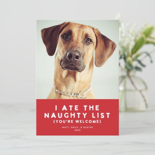 Schattige Grappig Ondeugend Lijst Pet Foto Kerst R Feestdagenkaart (Staand voorkant)