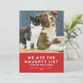 Schattige Grappig Ondeugend Lijst Pet Foto Kerst R Feestdagenkaart (Staand voorkant)