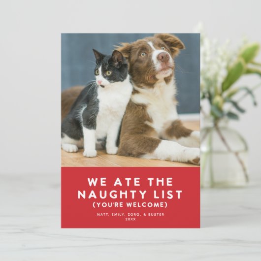 Schattige Grappig Ondeugend Lijst Pet Foto Kerst R Feestdagenkaart (Staand voorkant)